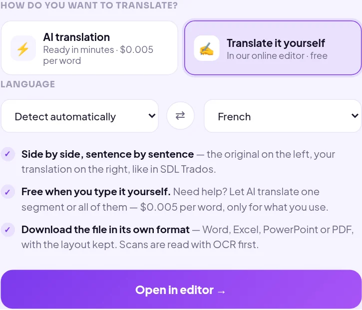 Choix « Translate it yourself » dans Linigu Translator avec langue cible français